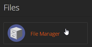 File Manager