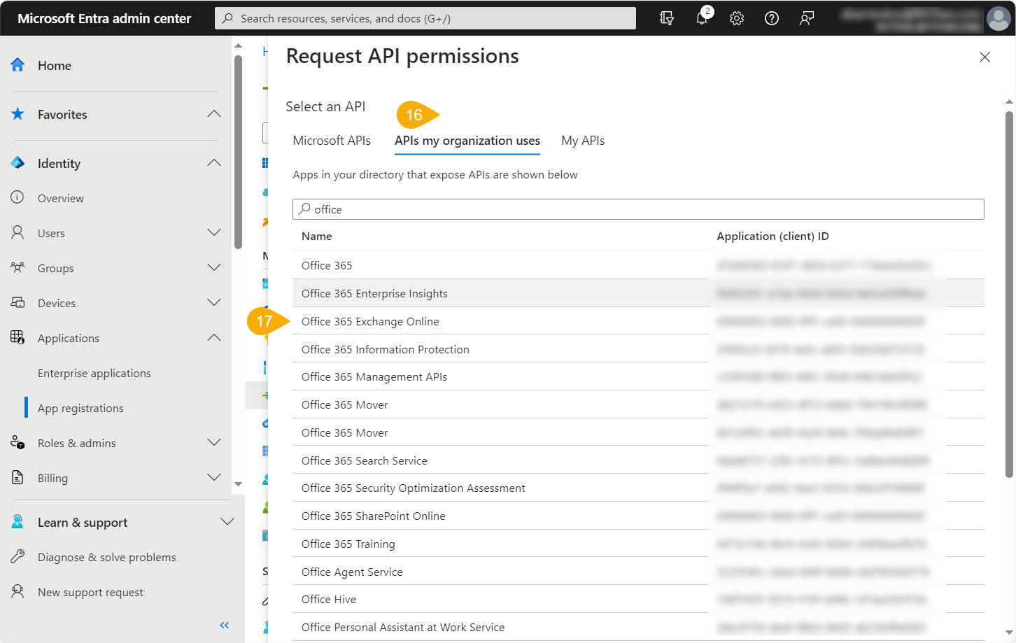 Request API permissions