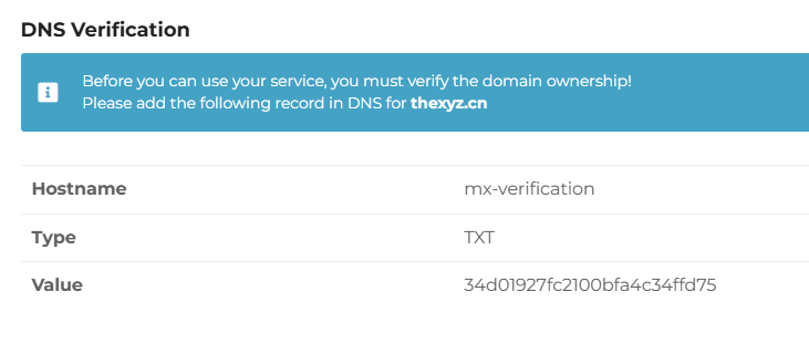 This screen shows the exact DNS record you need to add.