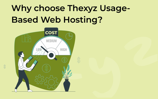 Why Choose Thexyz for Web Hosting?