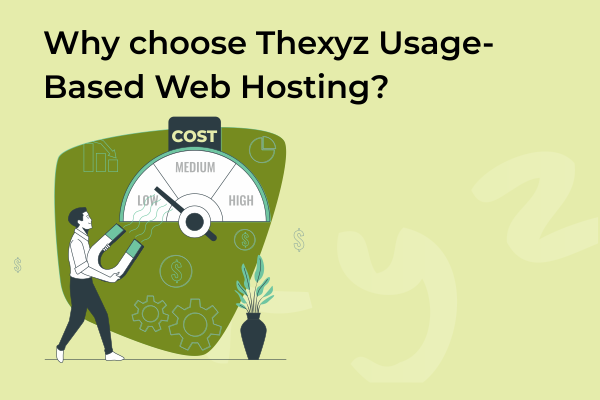 Why Choose Thexyz for Web Hosting?