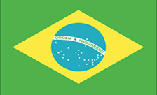.br Domains