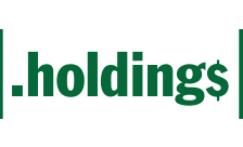 .holdings Domains