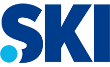.ski Domains