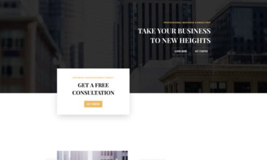 Business Consultant Landing Page
