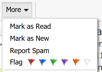 Flagging an Email
